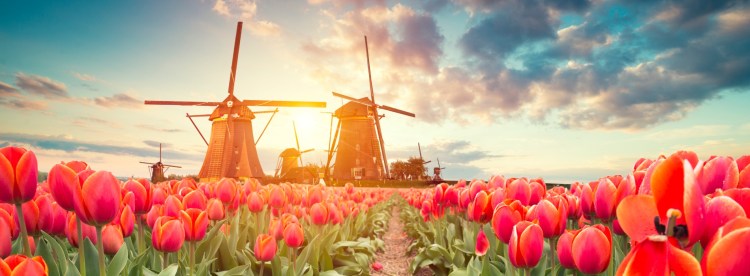 Comment importer une Voiture néerlandaise à importer en France avec un courtier automobile