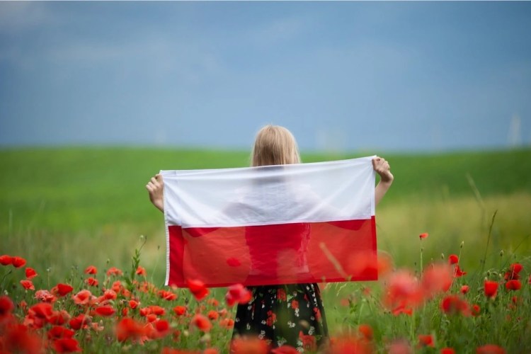 Drapeau de la Pologne flottant pour illustrer l’import de véhicule